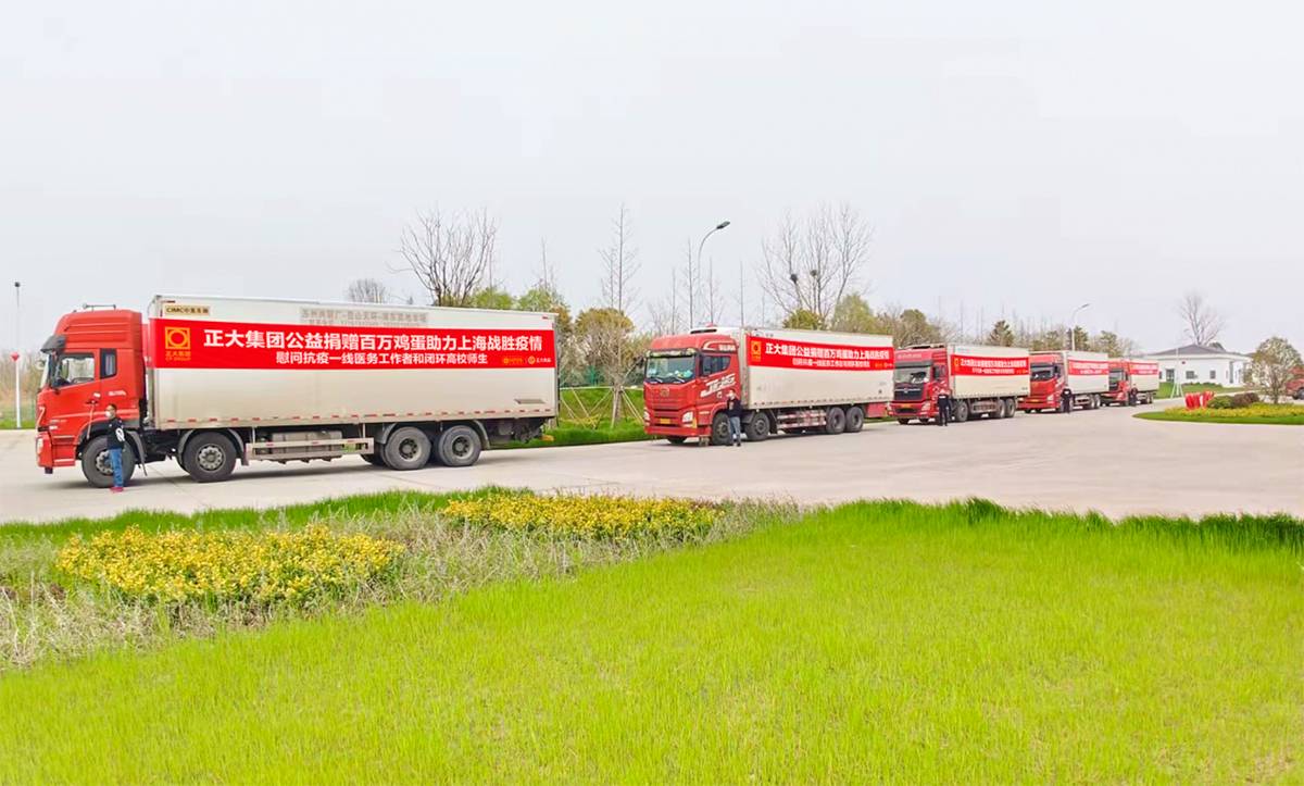 itb8888通博(中国区)官方网站